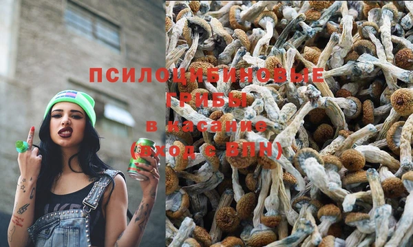 хмурый Абинск
