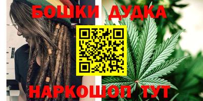гидра Кинель