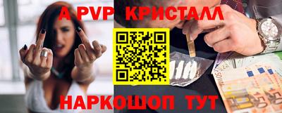 ешки Кингисепп