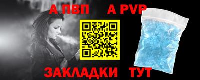 ешки Кингисепп