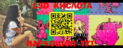 ешки Кингисепп